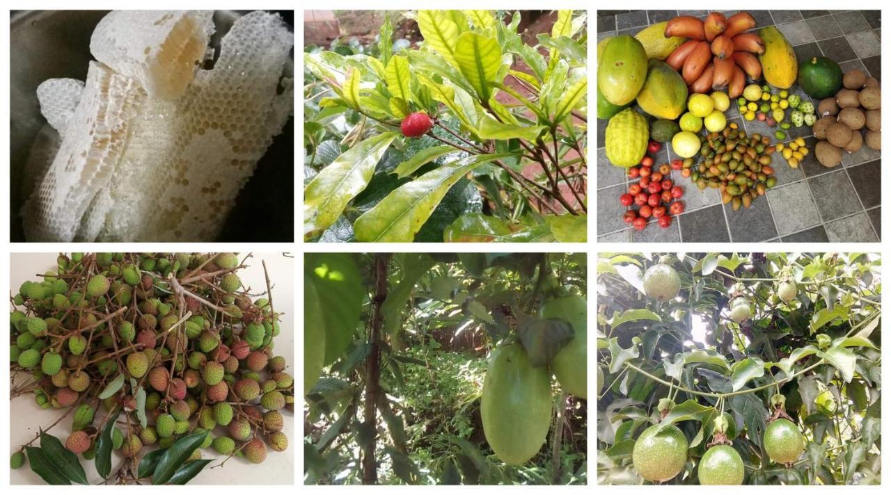 Anand Homestay Kattappana المظهر الخارجي الصورة