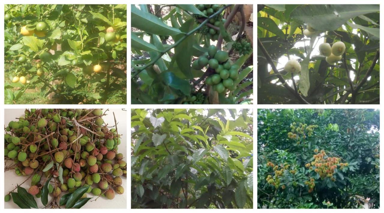 Anand Homestay Kattappana المظهر الخارجي الصورة